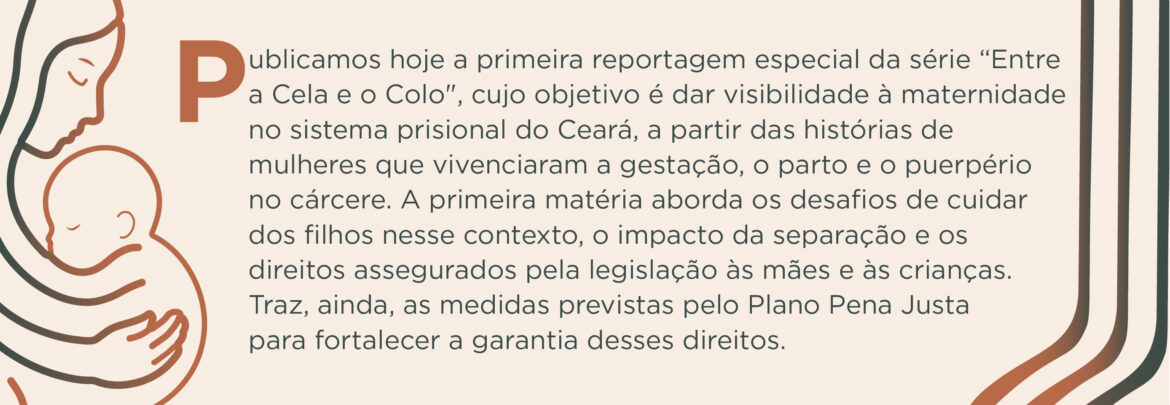 Arte no formato de retângulo que traz várias informações sobre a série
