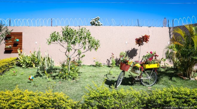 Jardim com muitas plantas e flores