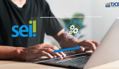 SEI passará por manutenção entre os dias 28 e 31 de agosto para atualização da plataforma