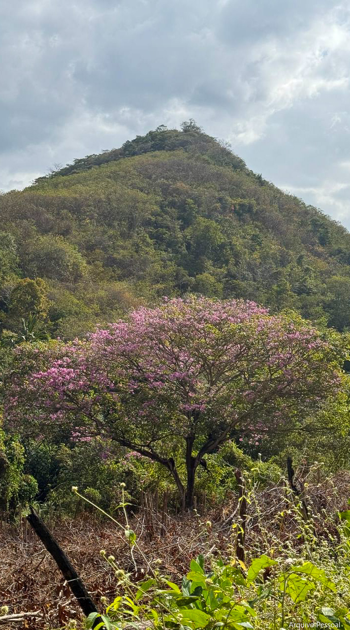 Projeto “Vema em Campo: Justiça, Ciência e Meio Ambiente” visita Quilombo da Serra do Evaristo, em Baturité