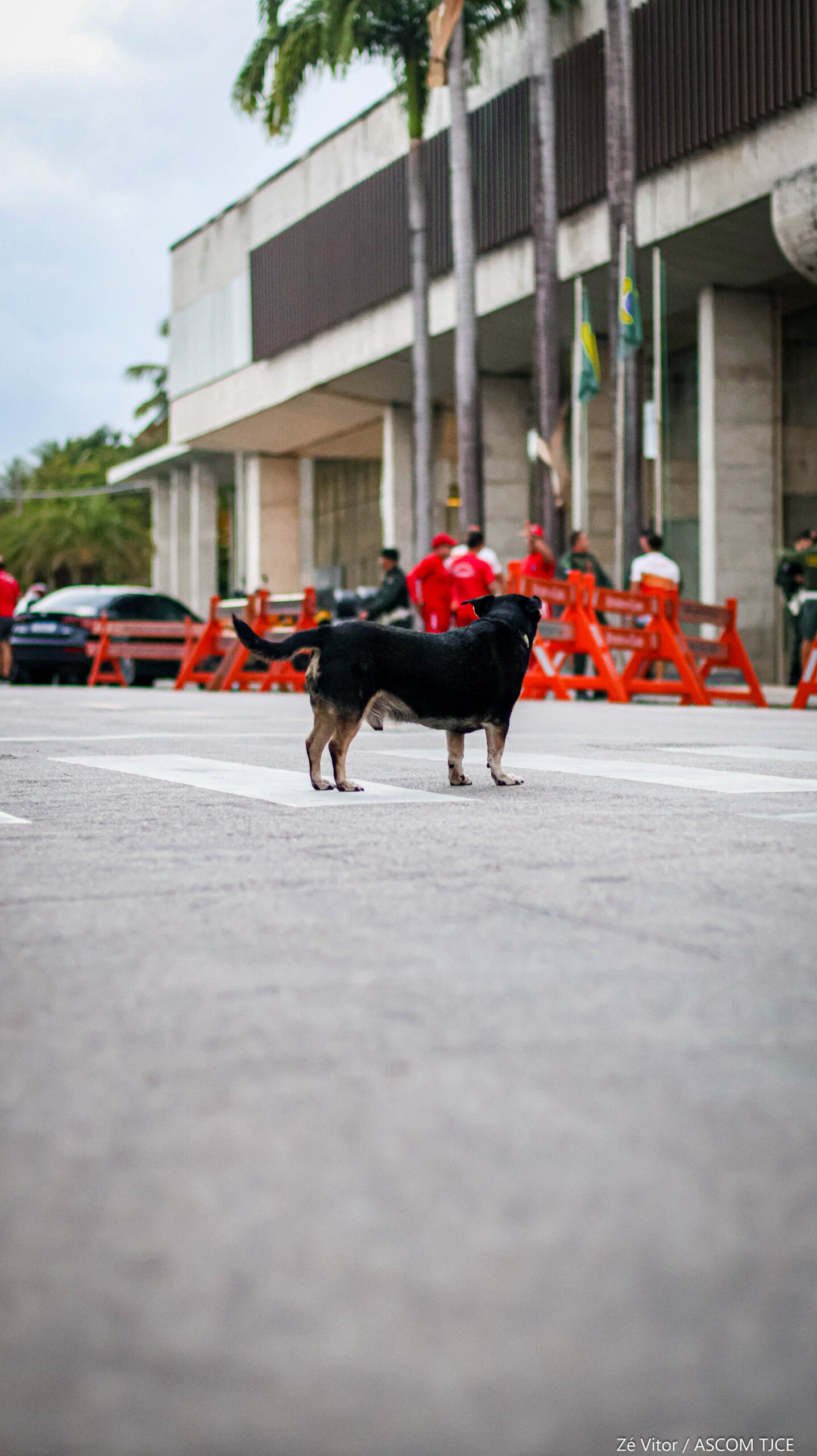 3ª Caminhada/Corrida do TJCE reúne membros do Judiciário em comemoração ao Mês do Servidor - Foto 186