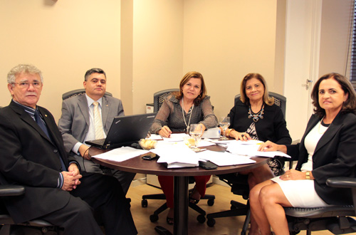 Grupo de Trabalho conclui plano de ação para implantar projeto “Audiência de Custódia”