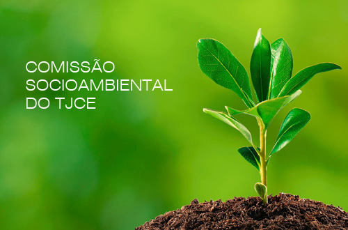 Comissão Socioambiental do Tribunal realiza plantio de mudas nesta quarta