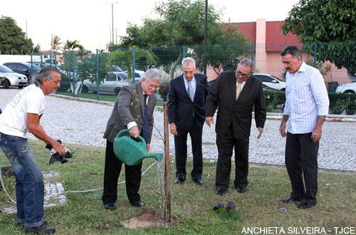 Poder Judiciário inicia revitalização da Praça da Justiça com o plantio de árvores